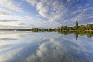 Reflections on the shore of Lake Constance near Reichenau Island, Baden-Wuerttemberg, Germany, Europe Reflections on the shore of Lake Constance near Reichenau Island, Baden-Wuerttemberg, Germany, Europe