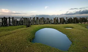 Remnants of human activity in tidal coastal area at Dutch northcoast Remnants of human activity in tidal coastal area at Dutch northcoast