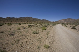 The Richtersveld is located in South Africas northern Namaqualand, this arid area represents a harsh landscape where water is a great scarcity and only the hardiest of lifeforms survive. Northern Cape Province, South Africa The Richtersveld is located in South Africas northern Namaqualand, this arid area represents a harsh landscape where water is a great scarcity and only the hardiest of lifeforms survive. Northern Cape Province, South Africa