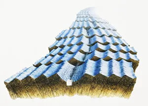 Ridges, rifts and valley of ocean floor, cross-section Ridges, rifts and valley of ocean floor, cross-section
