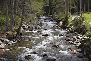 Riesachbach creek, Soelktaeler Nature Park, Schladming Tauern mountains, Upper Styria, Styria, Austria, Europe Riesachbach creek, Soelktaeler Nature Park, Schladming Tauern mountains, Upper Styria, Styria, Austria, Europe