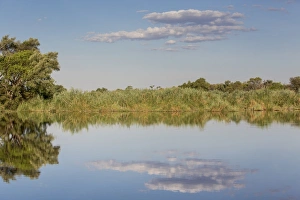 River landscape in Mamili National Park, Caprivi Strip, Namibia, Africa River landscape in Mamili National Park, Caprivi Strip, Namibia, Africa