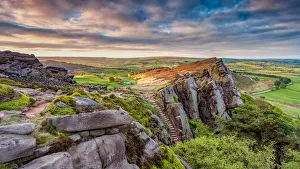 The Roaches The Roaches