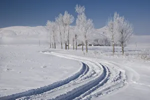 Road to Muradiye in snow, Van Province, Turkey Road to Muradiye in snow, Van Province, Turkey