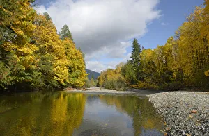 Robertson River leading into Cowichan Lake in fall, Cowichan Valley, Vancouver Island, British Columbia, Canada Robertson River leading into Cowichan Lake in fall, Cowichan Valley, Vancouver Island, British Columbia, Canada