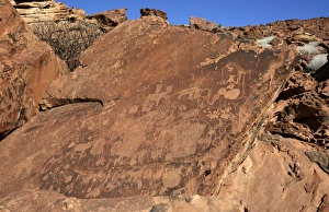 Rock carvings of the San people, Damaraland, Kunene Region, Namibia Rock carvings of the San people, Damaraland, Kunene Region, Namibia