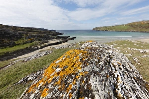 Rock with lichens, Barleycove, Mizen Head Peninsula, West Cork, Republic of Ireland, British Isles, Europe Rock with lichens, Barleycove, Mizen Head Peninsula, West Cork, Republic of Ireland, British Isles, Europe