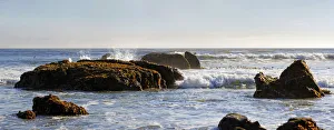 Rocks in the surf with brown algae -Phaeophyceae-, Pacific Coast, Cambria, California, United States Rocks in the surf with brown algae -Phaeophyceae-, Pacific Coast, Cambria, California, United States