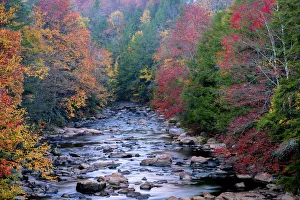 Rocky stream and autumn forest in Blackwater Falls State Park, Tucker County Rocky stream and autumn forest in Blackwater Falls State Park, Tucker County