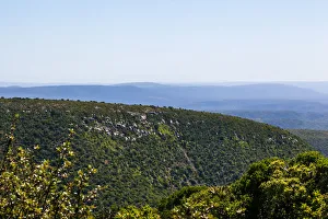 The rolling hills and bush near the fish river valley, which is very close to Grahamstown The rolling hills and bush near the fish river valley, which is very close to Grahamstown
