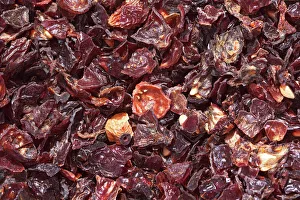 Rose hip tea, dried rose hips -Rosa canina- Rose hip tea, dried rose hips -Rosa canina-