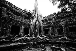 The ruin of Ta Prohm palace in black and white The ruin of Ta Prohm palace in black and white