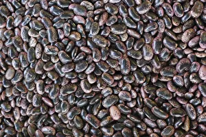 Runner beans, farmers market at Kaiser-Josef Platz square, Graz, Styria, Austria, Europe Runner beans, farmers market at Kaiser-Josef Platz square, Graz, Styria, Austria, Europe