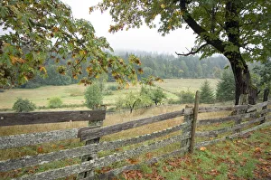 Rustic wooden fence on old farm, Cowichan Valley, British Columbia, Canada Rustic wooden fence on old farm, Cowichan Valley, British Columbia, Canada