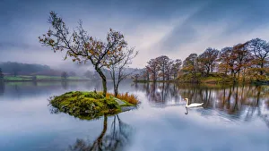 Rydal Swan Rydal Swan