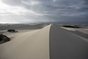 Sand Dunes Cast in Shadow Under a Dramatic Stormy Sky. Arniston, Western Cape Province Sand Dunes Cast in Shadow Under a Dramatic Stormy Sky. Arniston, Western Cape Province