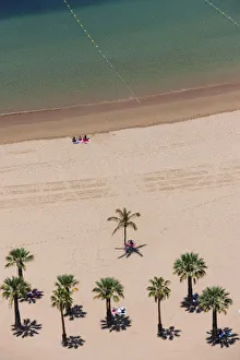 The sandy beach of Playa de las Teresitas with palm trees, birds eye view, San Andres, La Montanita, Tenerife The sandy beach of Playa de las Teresitas with palm trees, birds eye view, San Andres, La Montanita, Tenerife