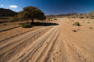Sandy track passing through Richtersveld National Park, Northern Cape, South Africa Sandy track passing through Richtersveld National Park, Northern Cape, South Africa