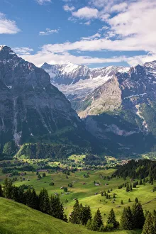Scenic view of Grindelwald-First, Switzerland Scenic view of Grindelwald-First, Switzerland
