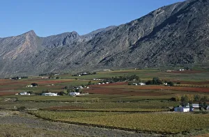 Scenic View of Vineyards Against the Slopes of the Mountains Scenic View of Vineyards Against the Slopes of the Mountains