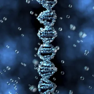DNA Prints: DNA Molecule Print: Science Inspired Art