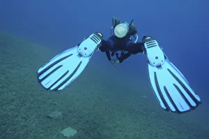 Scuba diver swimming above seabed, rear view Scuba diver swimming above seabed, rear view