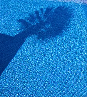 Outdoor Swimming Pools Prints: Shadow of a palm tree in a pool
