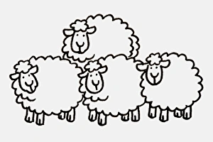 Four sheep huddled together looking ahead, front view Four sheep huddled together looking ahead, front view