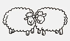 Two sheep standing next to each other with heads almost touching, side view Two sheep standing next to each other with heads almost touching, side view