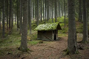 Shelter, hut, in Gauachschlucht gorge in the Black Forest, Baden-Wuerttemberg, Germany, Europe Shelter, hut, in Gauachschlucht gorge in the Black Forest, Baden-Wuerttemberg, Germany, Europe
