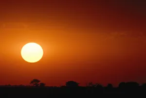 Silhouette of an African Landscape Under a Dramatic Sunset Silhouette of an African Landscape Under a Dramatic Sunset