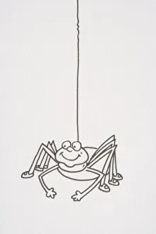 Smiling spider hanging from a thread, front view Smiling spider hanging from a thread, front view