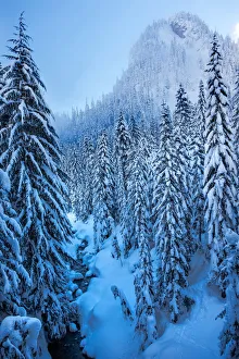 Snowcapped mountain and trees, Snoqualmie Pass, Washington State, USA Snowcapped mountain and trees, Snoqualmie Pass, Washington State, USA
