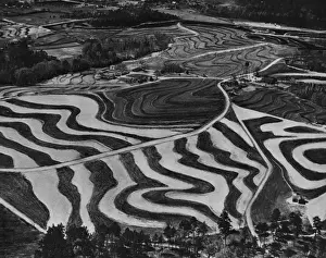 Soil Patterns Print, 4th April 1939