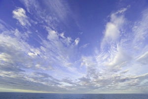 South Georgia, cumulus clouds in sky over calm sea, sunrise South Georgia, cumulus clouds in sky over calm sea, sunrise