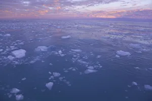 South Georgia, cumulus clouds in sky over ice floe, sunrise South Georgia, cumulus clouds in sky over ice floe, sunrise