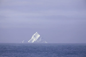 South Georgia, iceberg at sea, sunrise, autumn South Georgia, iceberg at sea, sunrise, autumn