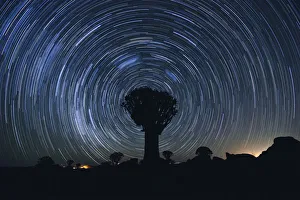 Star Trails over the Quiver Tree Forest in Keetmanshoop, Namibia Star Trails over the Quiver Tree Forest in Keetmanshoop, Namibia