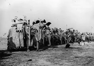 Black And White Elephant Photos Prints: State Elephants