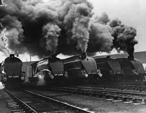 Railroad Track Collection: Steam Power