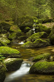 Stillensteinklamm gorge, Giessenbach stream, Grein an der Donau, Upper Austria, Austria Stillensteinklamm gorge, Giessenbach stream, Grein an der Donau, Upper Austria, Austria