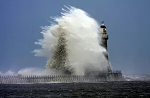 Horses Collection: Stomy weather at Roker Lighthouse