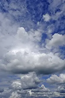Stratocumulus Cloud Formation Prints: Stratocumulus clouds, Eckental, Middle Franconia, Bavaria, Germany