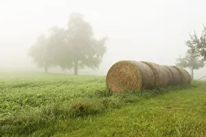 Straw bales in a field in autumn, Ueberlingen, Lake Constance, Baden-Wuerttemberg, Germany, Europe, PublicGround Straw bales in a field in autumn, Ueberlingen, Lake Constance, Baden-Wuerttemberg, Germany, Europe, PublicGround