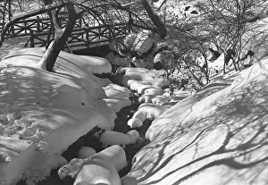 Stream and wooden bridge covered with snow Stream and wooden bridge covered with snow