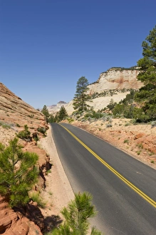 Street, Checkerboard Mesa, Zion National Park, Utah, USA Street, Checkerboard Mesa, Zion National Park, Utah, USA