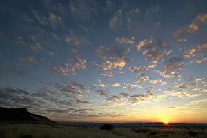 Sun setting on Horizon in a Bushveld Scene Sun setting on Horizon in a Bushveld Scene