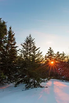 Sun shining through spruce trees on Hanson Top, Green Mountain, Effingham, New Hampshire Sun shining through spruce trees on Hanson Top, Green Mountain, Effingham, New Hampshire