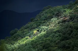 Sunlight Shining Through Storm Clouds onto a Darkened Landscape Sunlight Shining Through Storm Clouds onto a Darkened Landscape