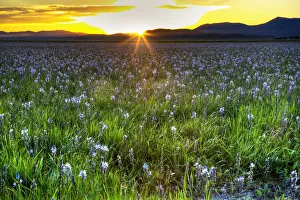Sunset in Camas Prairie, Fairfield, Idaho, USA Sunset in Camas Prairie, Fairfield, Idaho, USA